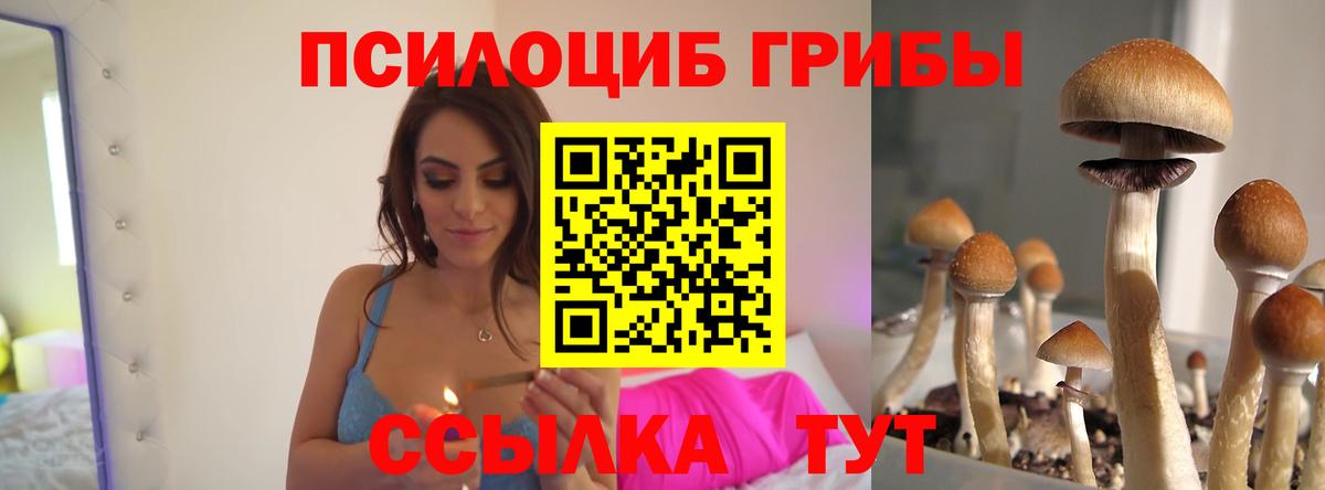 Ростов-на-Дону  Галлюциногенные грибы MAGIC MUSHROOMS  Псилоцибиновые грибы MAGIC MUSHROOMS  Вход с VPN 